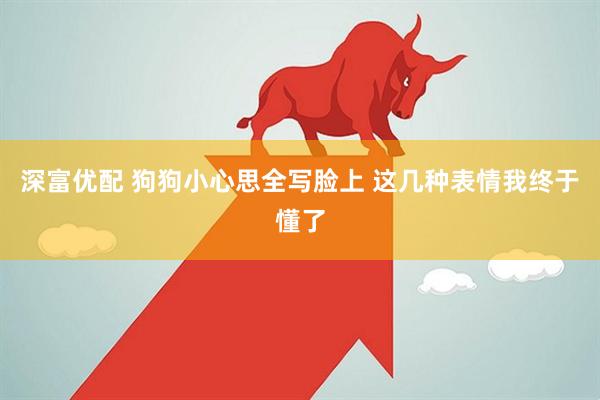 深富优配 狗狗小心思全写脸上 这几种表情我终于懂了