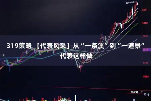 319策略 【代表风采】从“一条溪”到“一道景” 代表这样做