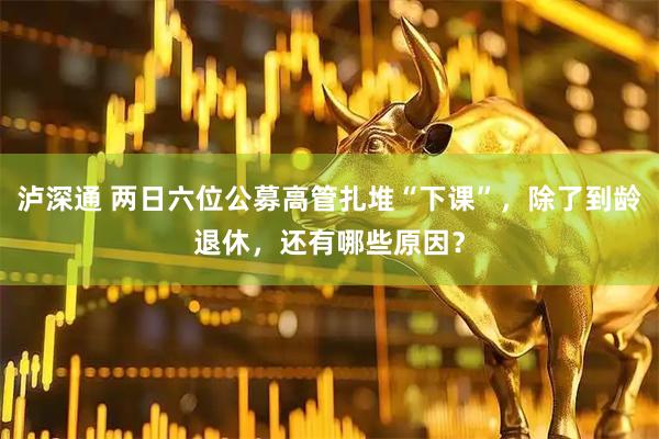 泸深通 两日六位公募高管扎堆“下课”，除了到龄退休，还有哪些原因？